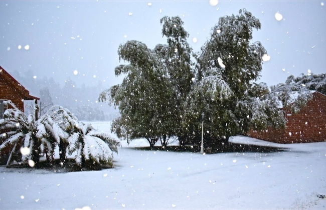 Maydena Mountain Cabins - Foto 40