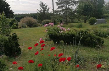 Gîte 4 pers proche cure thermale, Futuroscope, calme et nature à La Roche Posay - Foto 32