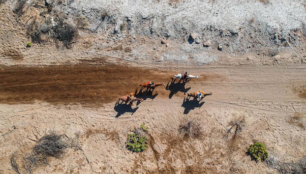 Balade à cheval dans le désert de Basse-Californie - Photo 2, Vue aérienne des chevaux
