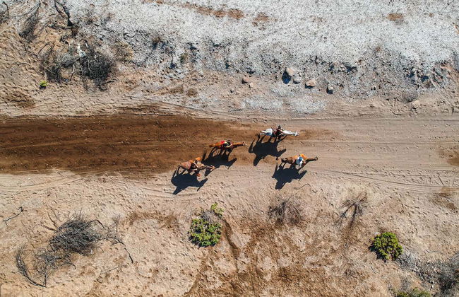 Balade à cheval dans le désert de Basse-Californie - Photo 1