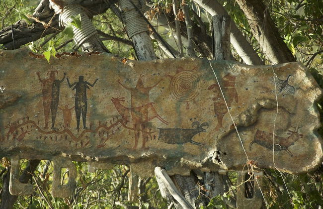 Rancho Ecológico Sol de Mayo - Foto 27