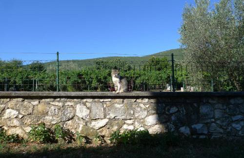 Apartments Smolica - Foto 50