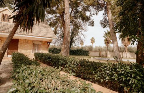 Vega de la Reina - Foto 49