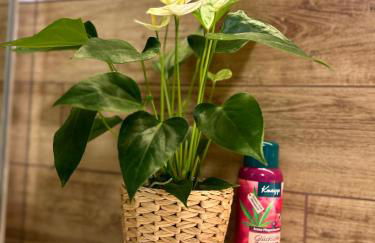 Traumferienwohnungen Georgenthal - Foto 13