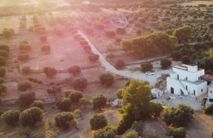 Masseria Le Mesolecchie - Foto 28