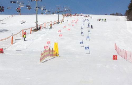 Haus Wiesenquelle - Foto 7