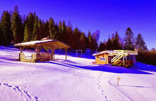 Hytta Eliaszówka - Foto 16