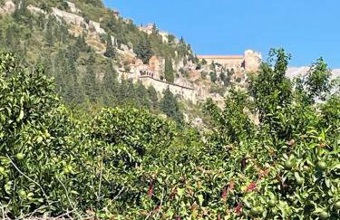 Portokalia - Foto 11