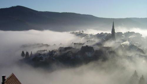 Am Keschtewaeldele **** - Foto 4