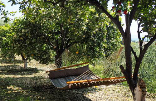 Katina's Farm House - Foto 14