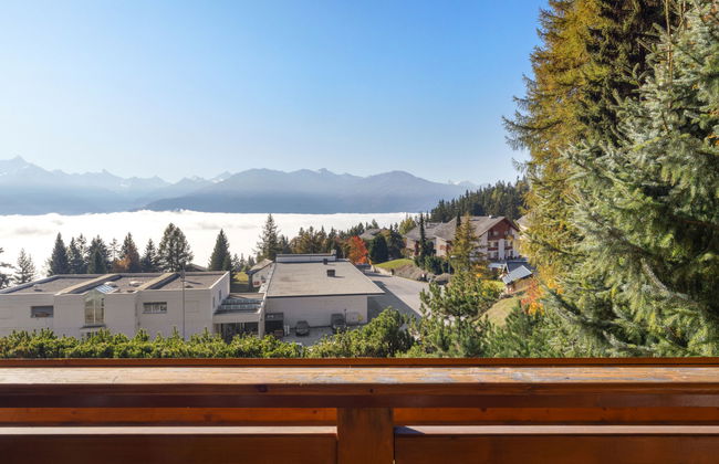 Résidence Orana 3 - Foto 6