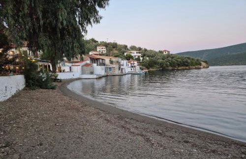 Trikeri Inn - Photo 50