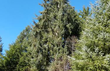 A Relaxing Getaway SolDuc 1 - Foto 34