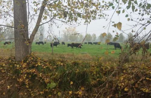 Agriturismo Cascina Pezzolo - Foto 122