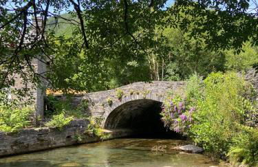 Cosy riverside cottage in beautiful Corris - Photo 14