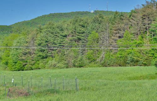 Cozy Catskills Studio Rental with Mountain Views! - Foto 25