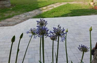 Maison les pieds dans l'eau - Vue exceptionnelle - Photo 8