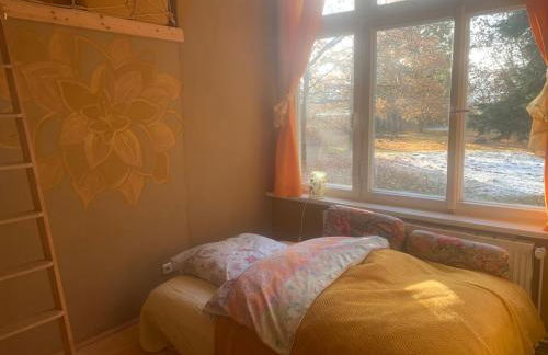 Gutshaus Zarnewanz - Foto 17