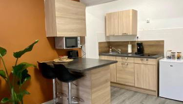 Studio Confort Centre Ville - Foto 2