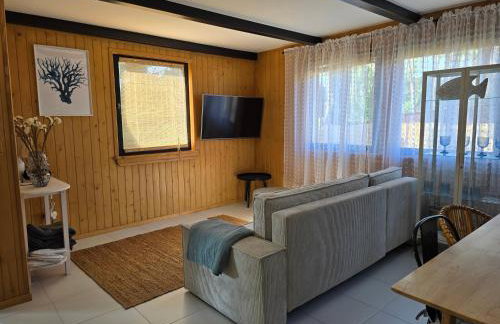 Bosko Siemiany - bania, jacuzzi, kino plenerowe, ognisko, rowery, SUP - Foto 10