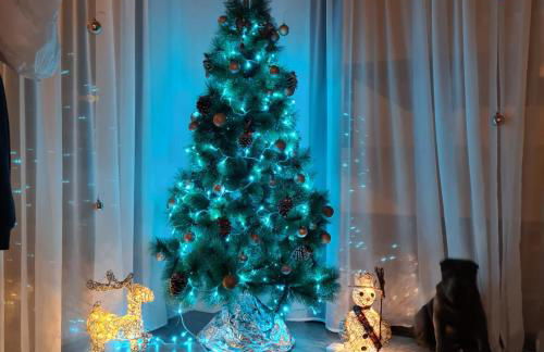 Brilliant Villa - Foto 26