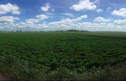 Private Detached Annex in Isleham Village - Photo 22