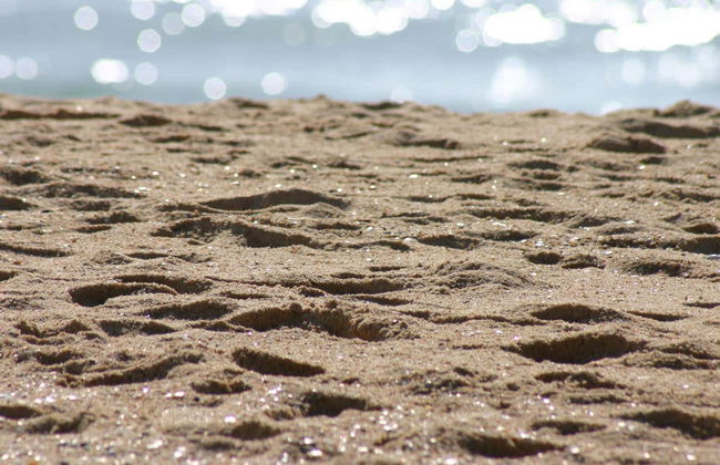 Paseo en lancha rápida a Isla Desierta - Foto 4