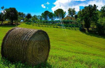 Agriturismo Pascucci - Foto 18