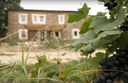 Gîtes de Mirabel Charmis - Photo 10