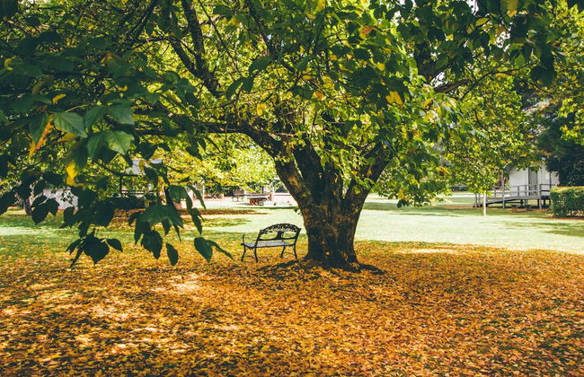 Federation Gardens & Possums Hideaway - Foto 64