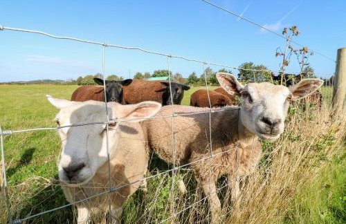 Bluebell Cottage - Foto 47