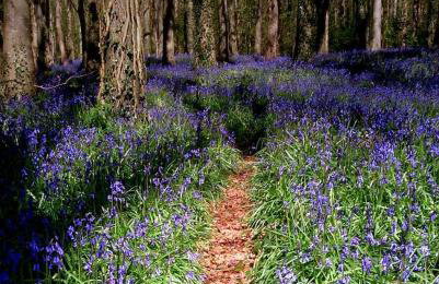 Number 6 Narrow Water Castle - Photo 3