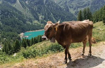 Mansarda Ossana - Foto 13