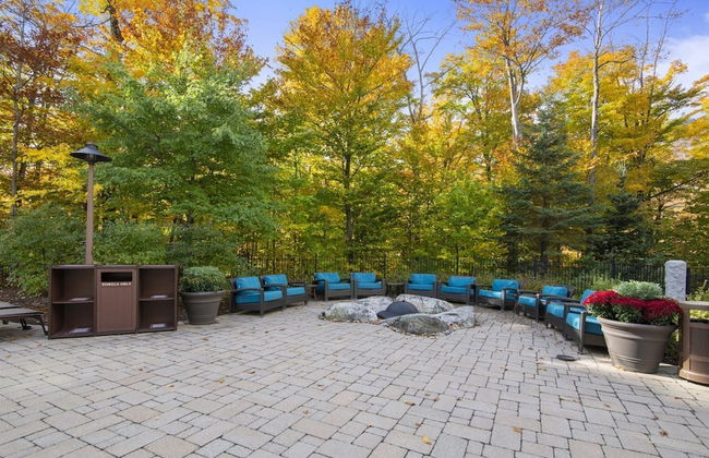 1325 Studio @ The Lodge at Spruce Peak - Photo 10