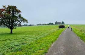 Cozy & small apartment-Böblingen - Foto 14