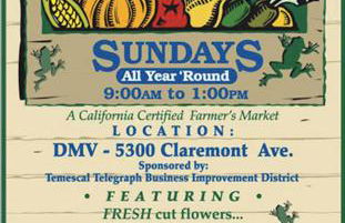 Modern & Open 2BR in Rockridge, Highly Walkable on Oakland Berkeley Border - Foto 48