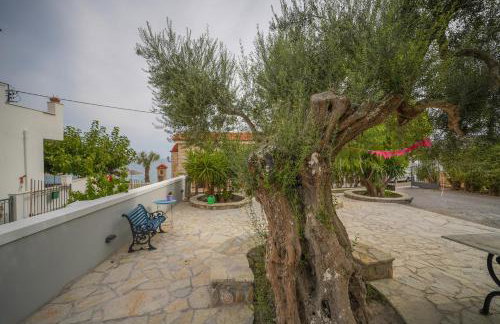 Oasis Studios AG PANTES - Photo 51