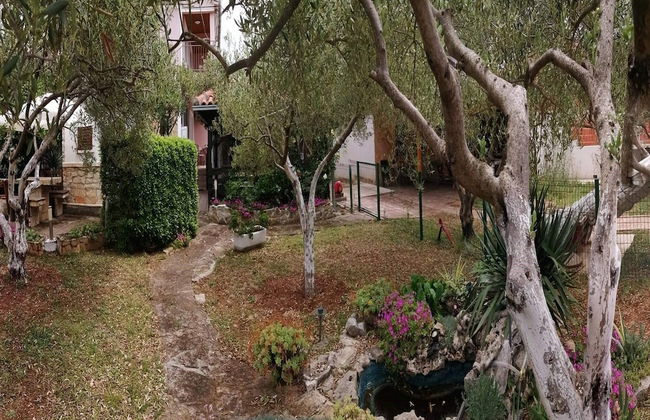 Apartments Marija - Foto 12