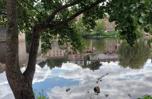 Appart face au mail - Foto 28