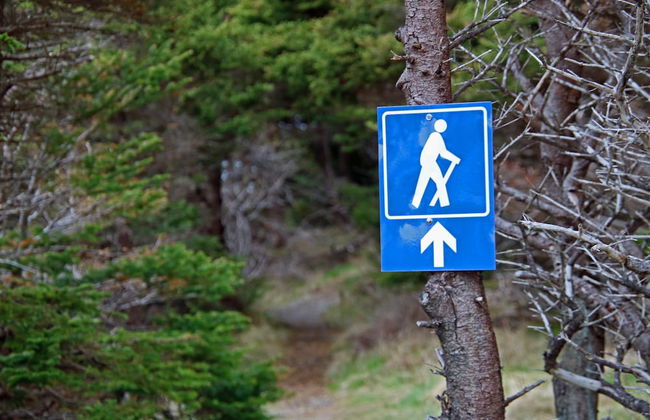 The Killick Inn & Suites - Foto 45