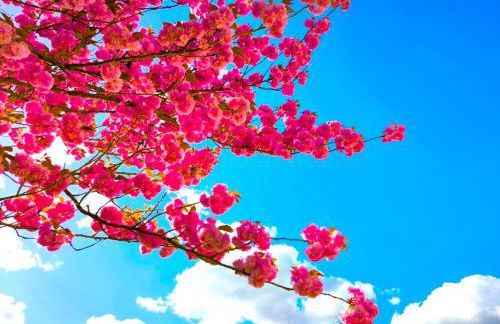 Appartement du Blanchet très agréable - Foto 19