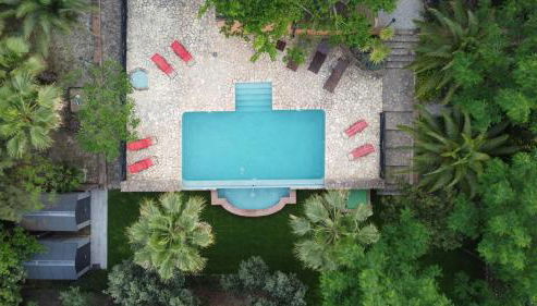 La Jacaranda - Foto 3