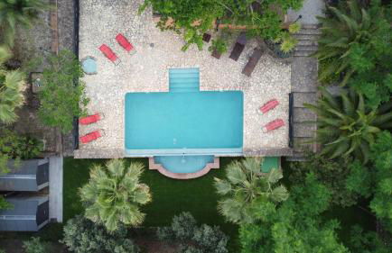 La Jacaranda - Foto 3