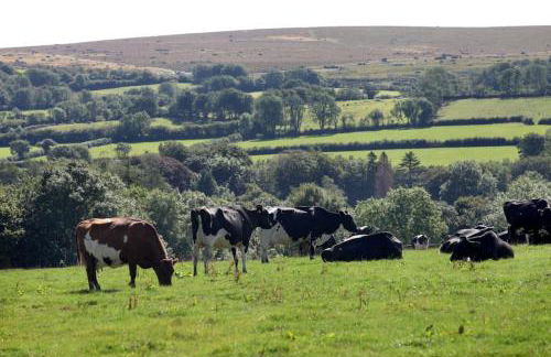 The Cloves Farm Shepherd’s Hut - Foto 8