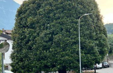 Akasa on Lake Como - Foto 60