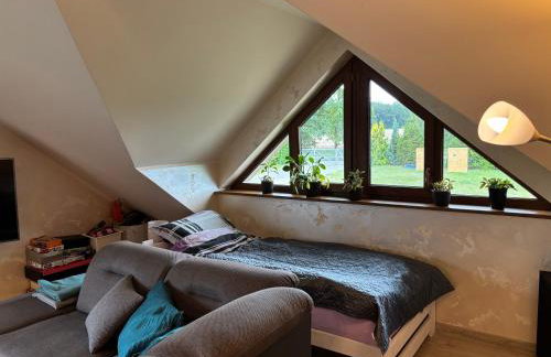 Apartament Natura - Dolina Baryczy - Foto 7