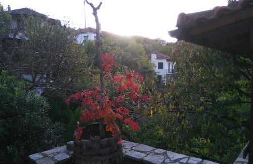 Τείχιο Πατρικό - Tihio Patriko - Πέτρινη κατοικία - Foto 29