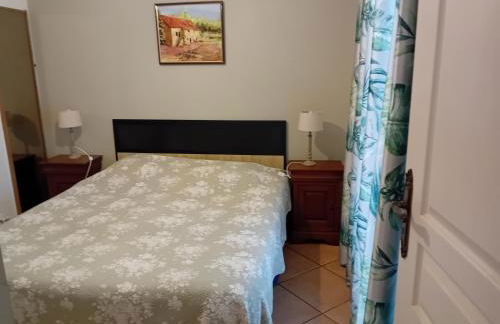 maison climatisée dans jardin - Foto 17