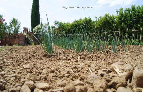 Agriturismo Signorini - Foto 73