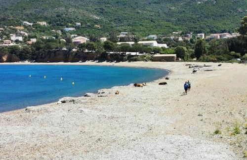 Appartement 1 à 4 personnes, balcon vue mer - Foto 15